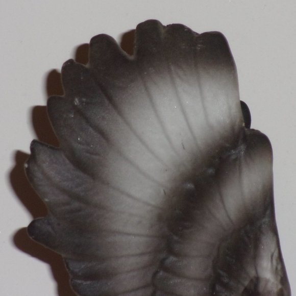 Vintage Bisque Ceramic/Porcelain Bald Eagle Standing On A Log Figurine Statue - Picture 4 of 13